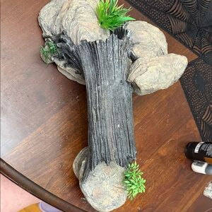 Reptile Natural Log and Rock Accent
